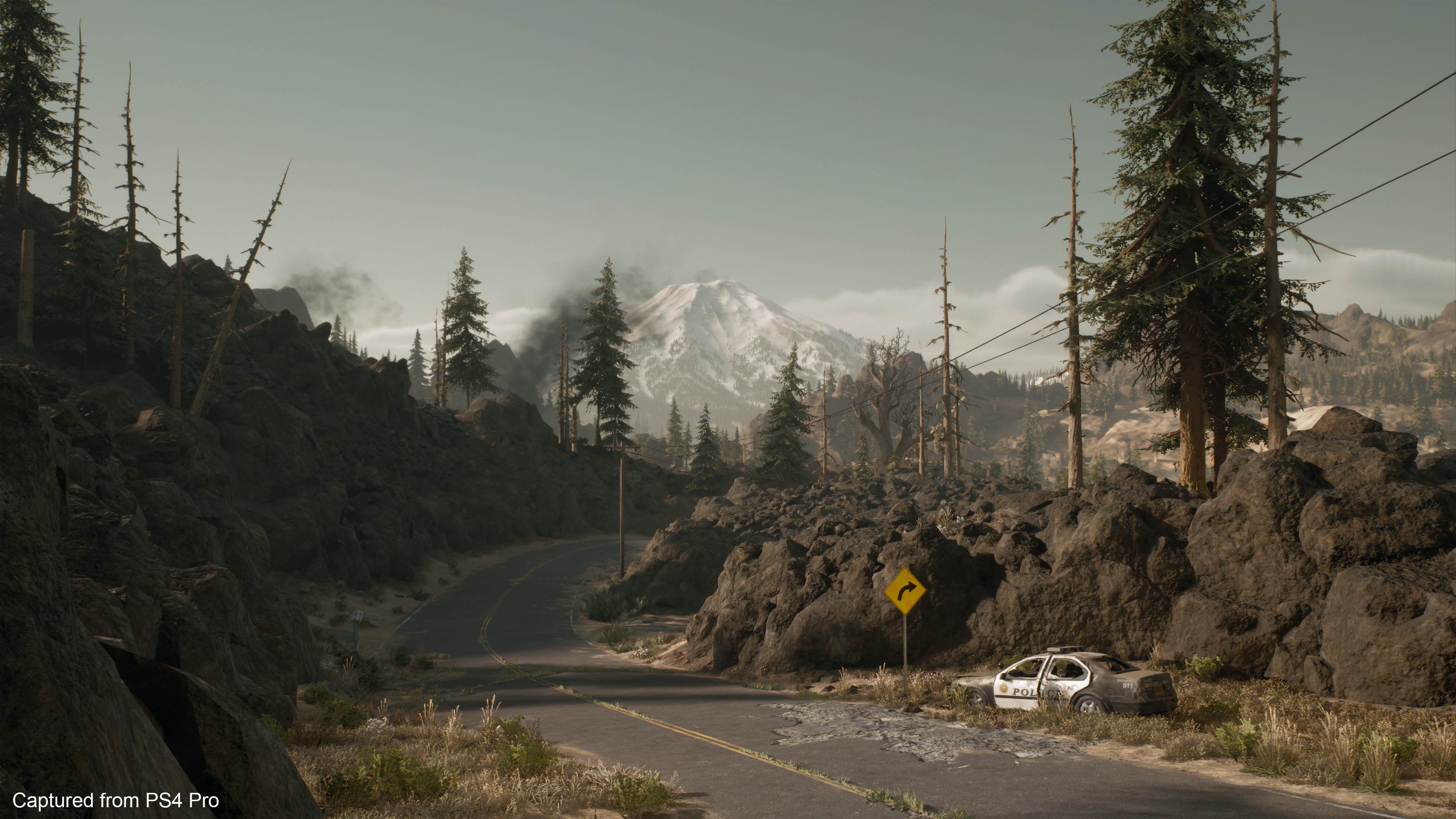 Days Gone - Imagen 1